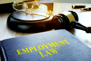 Employer Rights in Iraqi Labor Law